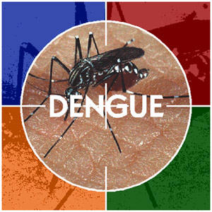 dengue argentina