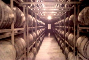 bodega envejecimiento bermudez