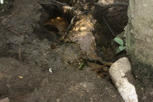 vertedero-de-constanza-sin-control-medioambiental.jpg