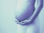 el-periodo-gestacional-depende-de-la-estructura-de-la-placenta-segun-una-investigacion.jpg