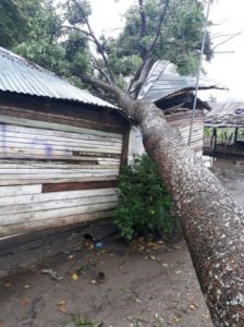 Daños y evacuaciones por huracán Irma