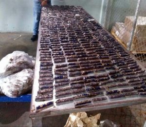 Santo Domingo.- La Dirección Nacional de Control de Drogas (DNCD), bajo la coordinación del Ministerio Público y apoyados por agencias de inteligencia, ocuparon en el Aeropuerto Internacional del Cibao,  más de cinco kilos presumiblemente cocaína,  camuflados en varias cajas de tabaco.      Las autoridades realizaron un operativo en el área de carga de la terminal, donde se ocuparon 478 envolturas de tabaco, conteniendo en su interior 5.3 kilogramos presumiblemente de cocaína.      La droga sería enviada en un vuelo comercial a Miami y por el caso se mantienen bajo investigación a dos personas.      "El Ministerio Público y la DNCD amplían las investigaciones para determinar si hay otros implicados en el frustrado envío de la sustancia" señala el comunicado de prensa.      Las autoridades han reforzado los operativos de interdicción en contra del narcotráfico y otros delitos, en aeropuertos, puertos, fronteras y otros puntos del país.      La sustancia fue enviada bajo cadena de custodia al Instituto Nacional de Ciencias Forenses (INACIF) para los fines correspondientes. 