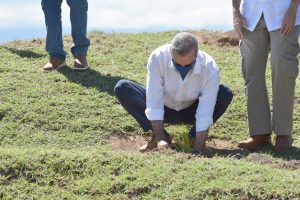 luis abinader jornada de reforestacion