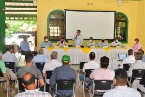 importación  de arroz