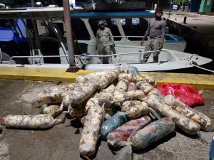 Incautan más de media tonelada de peces loros y lambies en Samaná 