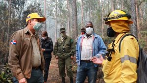 SANTIAGO.-La Fundación Ambiental Acción Verde denunció que el incendio forestal que afectó la Sierra de Bahoruco consumió más de 15 kilómetros de bosque nublado que fue convertido en cenizas, por las llamas.  Señala Acción Verde, que bomberos forestales del Cibao, en especial de La Vega y Jarabacoa, fueron trasladados a seis horas de distancia hasta las fronteras del sur, para sofocar el incendio forestal.  ''El 31 de diciembre, a medianoche, la mayoría  se deleitaba junto a sus familias con los fabulosos colores de los fuegos artificiales.  Sin embargo, en lo alto de la Sierra de Bahoruco, un puñado de hombres solitarios se enfrentaba cara a cara con el fuero real, inmenso y devastador'', señala la institución ambiental.  Precisa en un comunicado enviado a este medio que los bomberos forestales son un grupo pequeño, en todo el país que no llegan a 70 personas y que por eso tienen que moverse constantemente de monte en monte, de fuego en fuego ''simplemente no dan a basto''.  La Fundación Acción Verde criticó que la Sierra de Bahoruco no  hay suficiente personal entrenado, a pesar de contar con la reserva de la biósfera Jaragua-Bahoruco-Enriquillo.  ''Ese sur, rico en bellezas y Parques Nacionales, cada vez que se enciende una chispa por allá apenas aparece quien los apague: los que sabían hacerlo fueron reemplazados, las nóminas y nominillas se han duplicado, pero de esos que están cobrando casi nadie quiere enfrentarse a la candela'', denunció la fundación ambiental.  Asimismo, Acción Verde critica los salarios que cobran los bomberos forestales que van desde 11 mil hasta 14 mil pesos.  ''Mientras tanto, unos cuantos humildes hombres, con más valor y coraje que cualquiera, dignos de mejor suerte, con salarios de miseria (rayando en la indigencia), parece que sólo son buenos para salir en la foto y ser taparetes de anuncios vacíos: ¡de once a 14 mil pesos al mes! ganan en promedio los 'héroes" de esta película'', apunta el comunicado.  Explican que la nueva gestión en el Ministerio de Medio de Ambiente desde marzo del año 2021 ha prometido un aumento salarial o "nombrar" los que son nominales, que según la denuncia de Acción Verde no cobran desde octubre.  ''Un puñado de asesores y asistentes que no llegan a 10, tienen más ingresos que todo el equipo de bomberos forestales juntos... y aún así siguen batallando: desamparados, mal equipados, mal pagados y a punto de colapsar: si eso es justo, que venga DIOS y lo vea'' puntualiza la fundación ambiental.  Ayer el Ministro de Medio Ambiente, Orlando Jorge Mera prometió en su cuenta de Twitter,  mejorar la infraestructura de esa institución para tener brigadas permanente de bomberos forestales en Sierra de Bahoruco. 