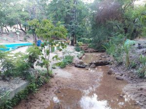 Río Las Damas al borde de la Extinción