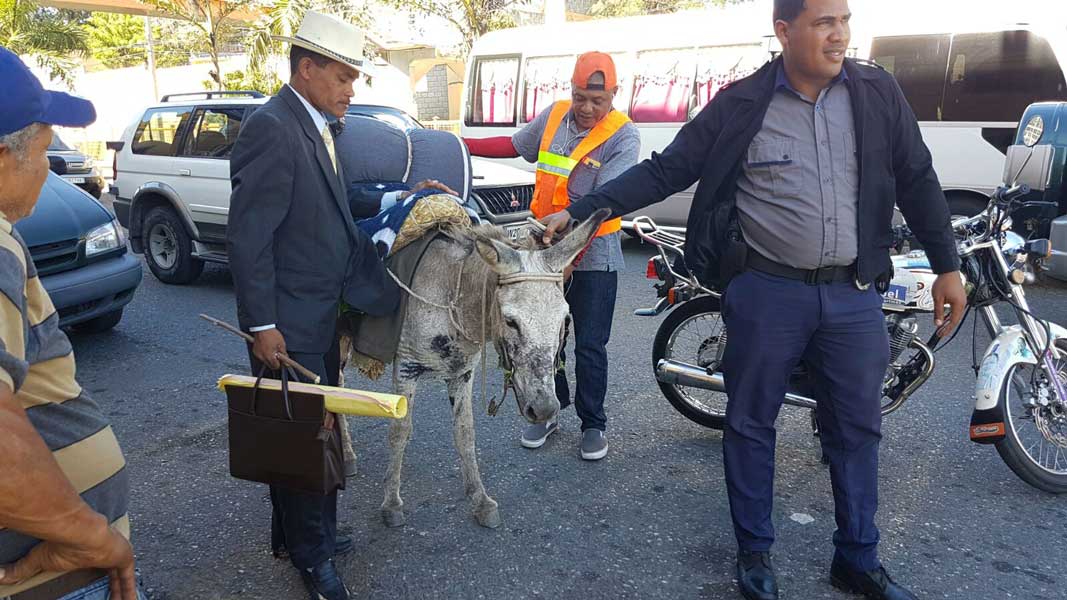 Incautan burros en Santiago a campesinos iban con rumbo al Palacio Nacional
