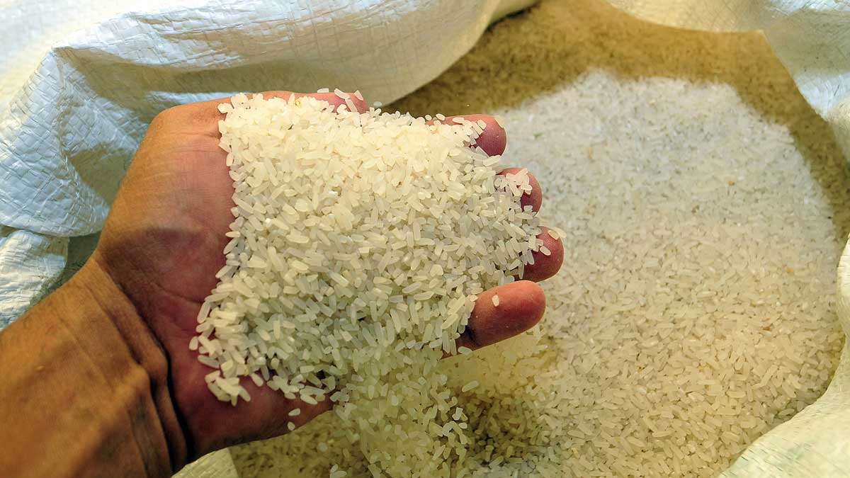 Autoridades descartan presencia de arroz plástico en mercado dominicano