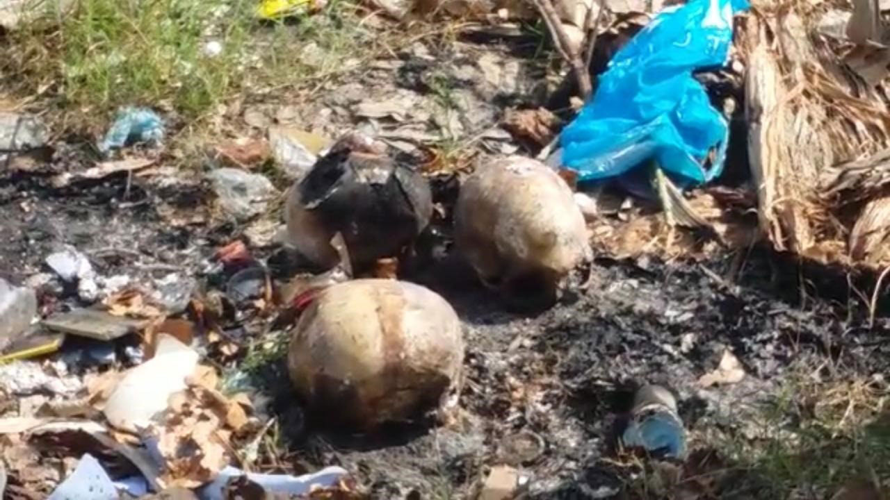 Investigan hallazgo de cráneos en La Vega