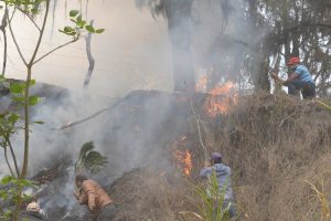 Revelan fuegos forestales son provocados en La Vega
