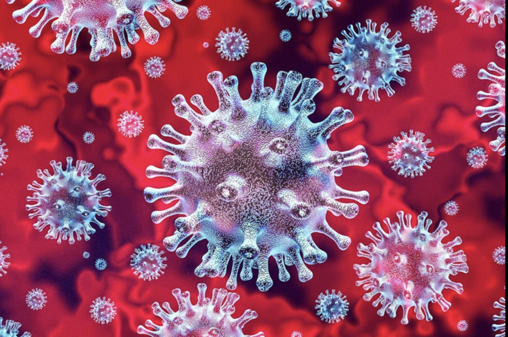 coronavirus