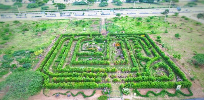 Esta semana permitirán acceso Jardín Botánico Santiag