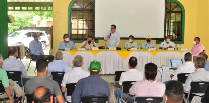 importación de arroz