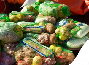 Realizan con éxito Operativos Especiales de Navidad 