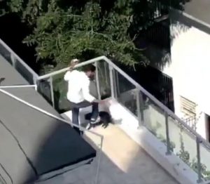 Investigan sobre maltrato a una perra