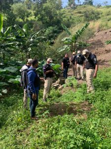 plantación de marihuana