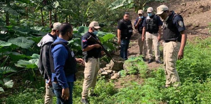 plantación de marihuana