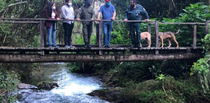 diputado mateo espaillat