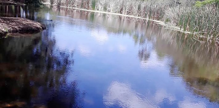 Dicen Medio Ambiente abandona Parque Los Humedales de Laguna Prieta
