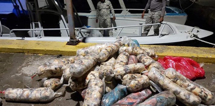 Incautan más de media tonelada de peces loros y lambies en Samaná