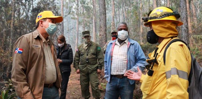 SANTIAGO.-La Fundación Ambiental Acción Verde denunció que el incendio forestal que afectó la Sierra de Bahoruco consumió más de 15 kilómetros de bosque nublado que fue convertido en cenizas, por las llamas. Señala Acción Verde, que bomberos forestales del Cibao, en especial de La Vega y Jarabacoa, fueron trasladados a seis horas de distancia hasta las fronteras del sur, para sofocar el incendio forestal. ''El 31 de diciembre, a medianoche, la mayoría se deleitaba junto a sus familias con los fabulosos colores de los fuegos artificiales. Sin embargo, en lo alto de la Sierra de Bahoruco, un puñado de hombres solitarios se enfrentaba cara a cara con el fuero real, inmenso y devastador'', señala la institución ambiental. Precisa en un comunicado enviado a este medio que los bomberos forestales son un grupo pequeño, en todo el país que no llegan a 70 personas y que por eso tienen que moverse constantemente de monte en monte, de fuego en fuego ''simplemente no dan a basto''. La Fundación Acción Verde criticó que la Sierra de Bahoruco no hay suficiente personal entrenado, a pesar de contar con la reserva de la biósfera Jaragua-Bahoruco-Enriquillo. ''Ese sur, rico en bellezas y Parques Nacionales, cada vez que se enciende una chispa por allá apenas aparece quien los apague: los que sabían hacerlo fueron reemplazados, las nóminas y nominillas se han duplicado, pero de esos que están cobrando casi nadie quiere enfrentarse a la candela'', denunció la fundación ambiental. Asimismo, Acción Verde critica los salarios que cobran los bomberos forestales que van desde 11 mil hasta 14 mil pesos. ''Mientras tanto, unos cuantos humildes hombres, con más valor y coraje que cualquiera, dignos de mejor suerte, con salarios de miseria (rayando en la indigencia), parece que sólo son buenos para salir en la foto y ser taparetes de anuncios vacíos: ¡de once a 14 mil pesos al mes! ganan en promedio los 'héroes" de esta película'', apunta el comunicado. Explican que la nueva gestión en el Ministerio de Medio de Ambiente desde marzo del año 2021 ha prometido un aumento salarial o "nombrar" los que son nominales, que según la denuncia de Acción Verde no cobran desde octubre. ''Un puñado de asesores y asistentes que no llegan a 10, tienen más ingresos que todo el equipo de bomberos forestales juntos... y aún así siguen batallando: desamparados, mal equipados, mal pagados y a punto de colapsar: si eso es justo, que venga DIOS y lo vea'' puntualiza la fundación ambiental. Ayer el Ministro de Medio Ambiente, Orlando Jorge Mera prometió en su cuenta de Twitter, mejorar la infraestructura de esa institución para tener brigadas permanente de bomberos forestales en Sierra de Bahoruco.