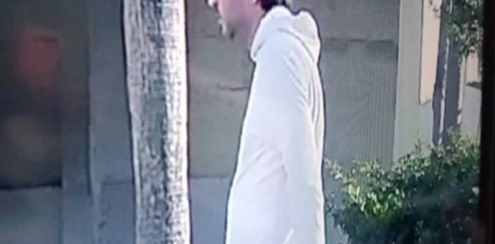 nicolas kardoch1