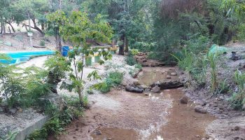 Río Las Damas al borde de la Extinción