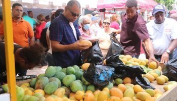 Concluye con éxito feria del mango 2024
